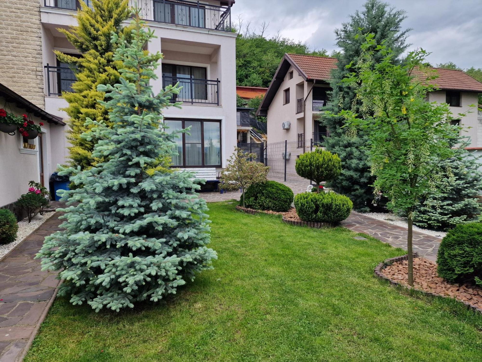 Casa Andrei Hotel Orsova Exterior photo